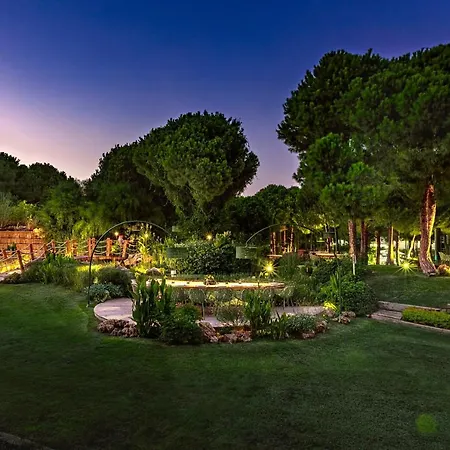 雷努姆卡利亚旅馆 酒店