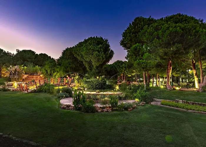 ريجنوم كاريا فندق