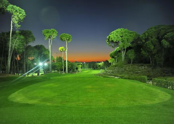 ريجنوم كاريا فندق بيليك