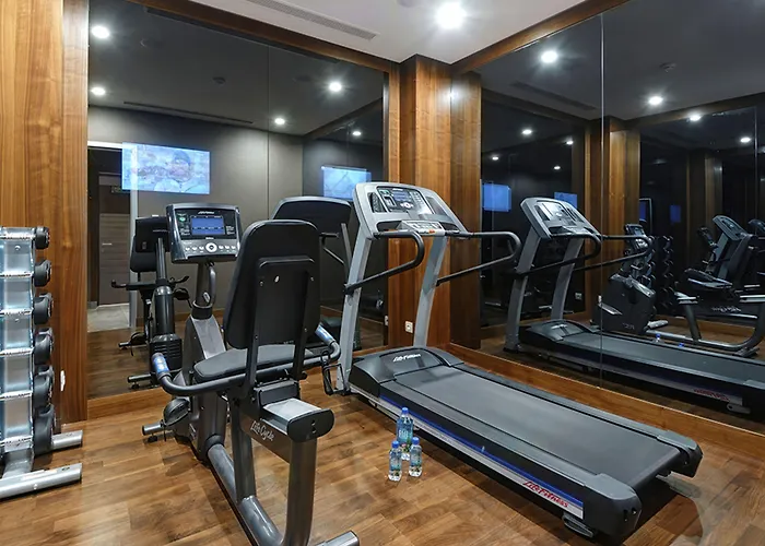 Regnum Carya ベレキ